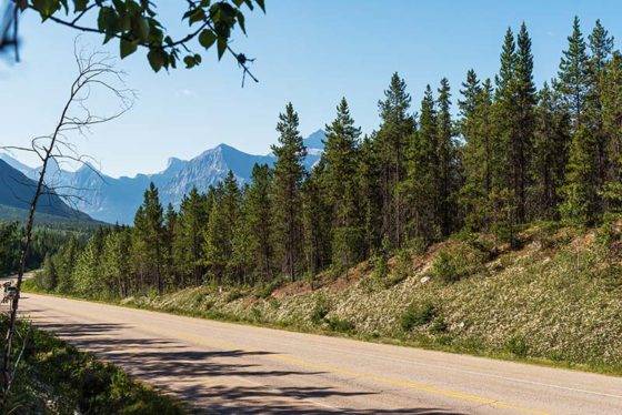 photo of beautiful scenery along the YellowHead Highway from Hinton to Jasper, Alberta