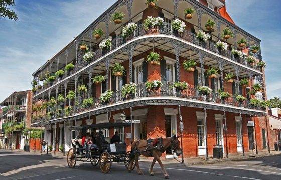 Horse-drawn carriage in front of a stately building in the French Quarter, New Orleans, LA