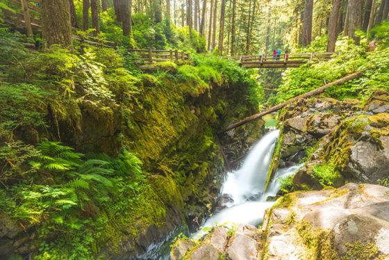 Scenic view of Sol Duc waterfalls area Olympic National Park WA