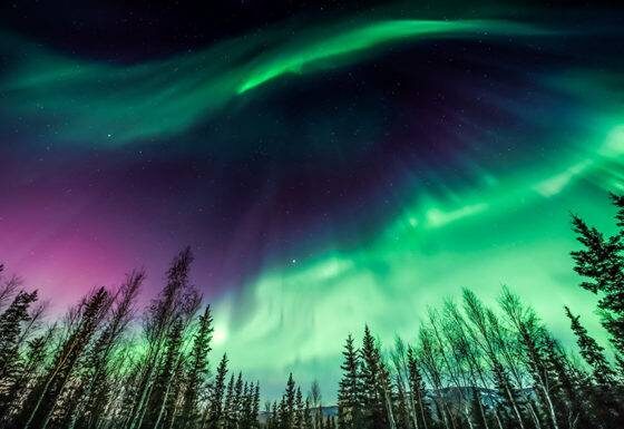 Image of Northern Lights over trees in Alaska