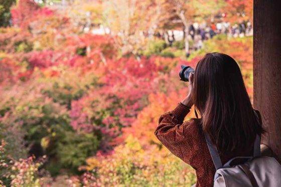 Woman photographing fall foliage