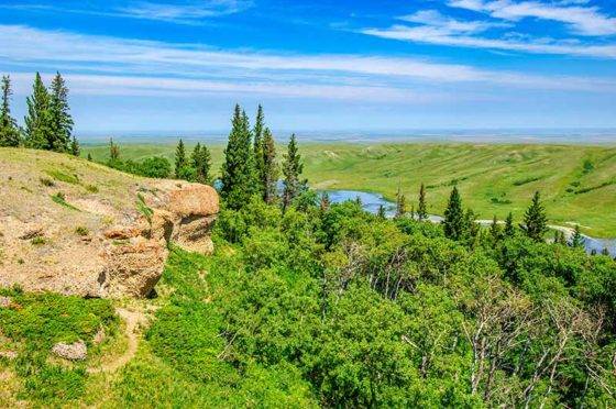 Photo of Cypress Hills Interprovincial Park in Saskatchewan