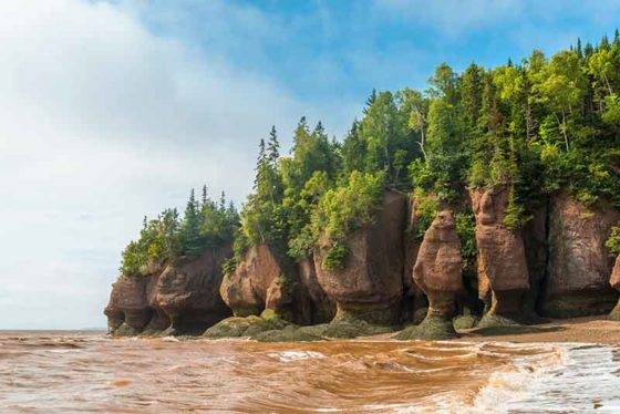 Photo of the Hopewell Flower Pot Rocks at low tide in the Bay of Fundy, New Brunswick