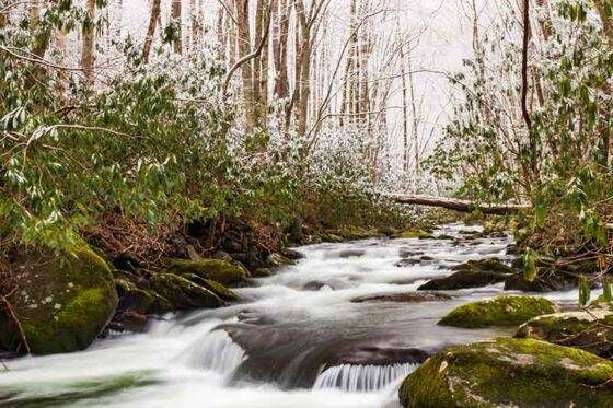 Photo of Winter scene of a mountain stream in Great Smoky Mountains National Park